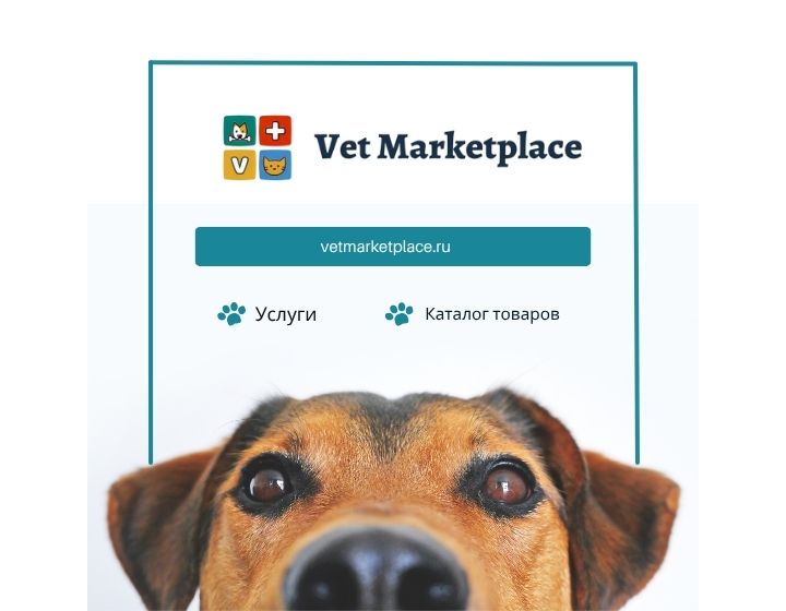 Новый сайт — новые возможности для клиентов и партнёров