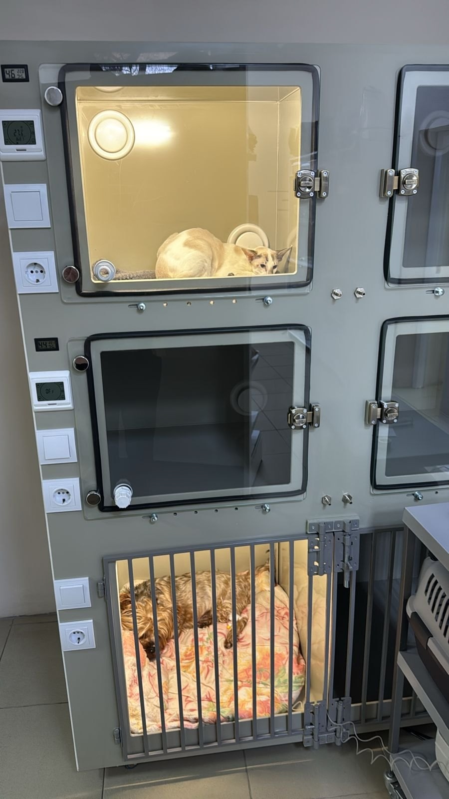 Качество, комфорт и внимание к деталям — основа наших ветеринарных стационаров