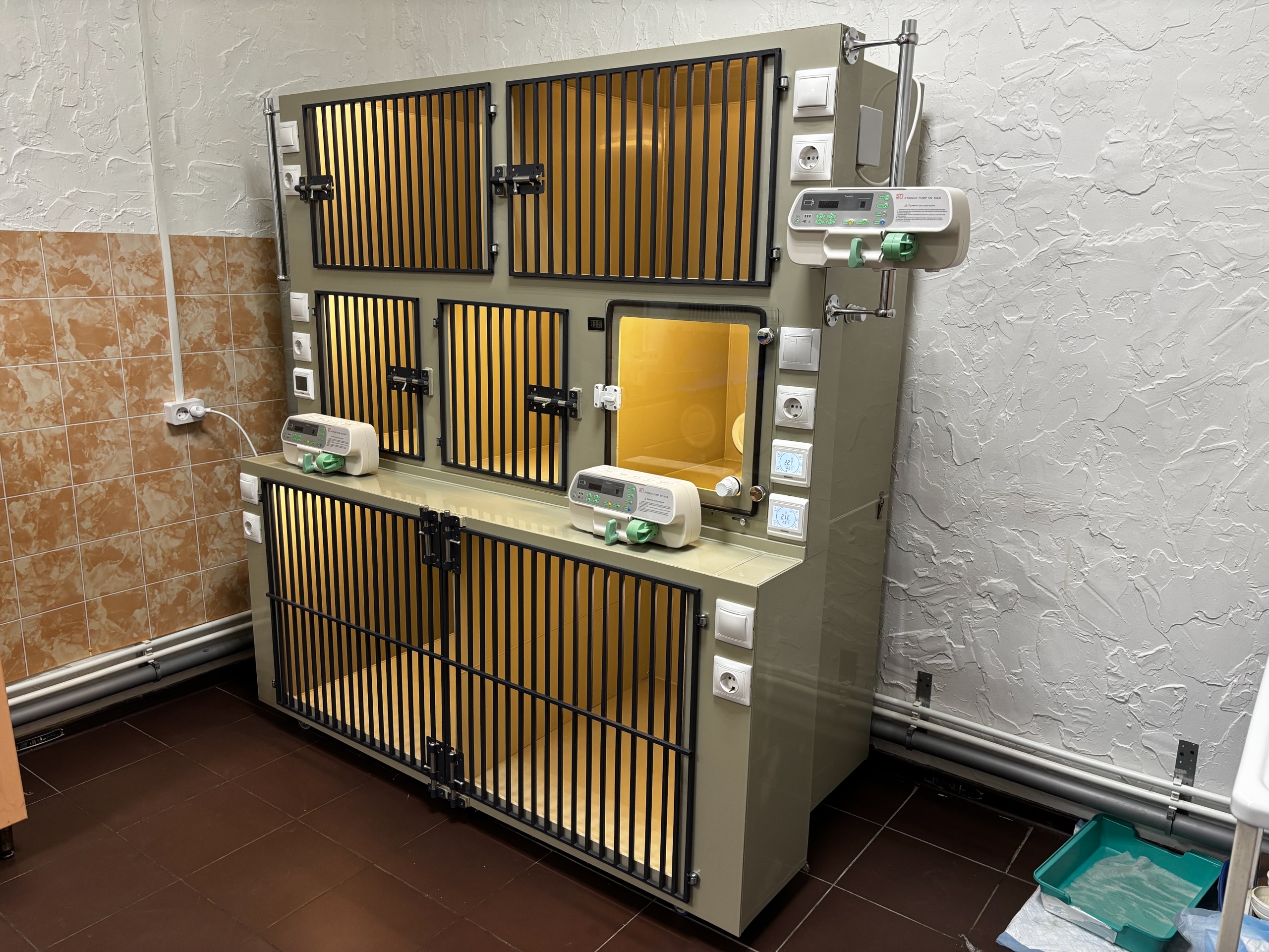 Показываем наш стационар в деле — в клинике «Белый Буль»!