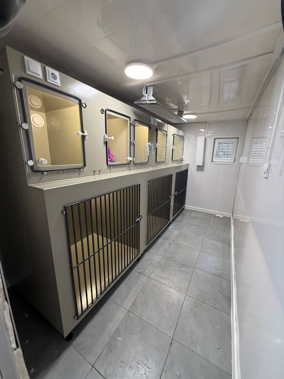 Ветеринарный стационар для приюта «Самые активные хвосты»